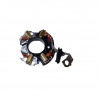 Porte balai et charbons demarreur bosh