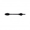 Cardan de transmission Lyra et Optima